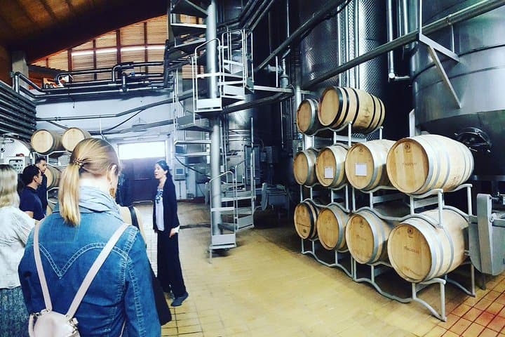 Cagliari Wine & Cheese Shore Excursion: Private Tasting in Serdiana photo 6