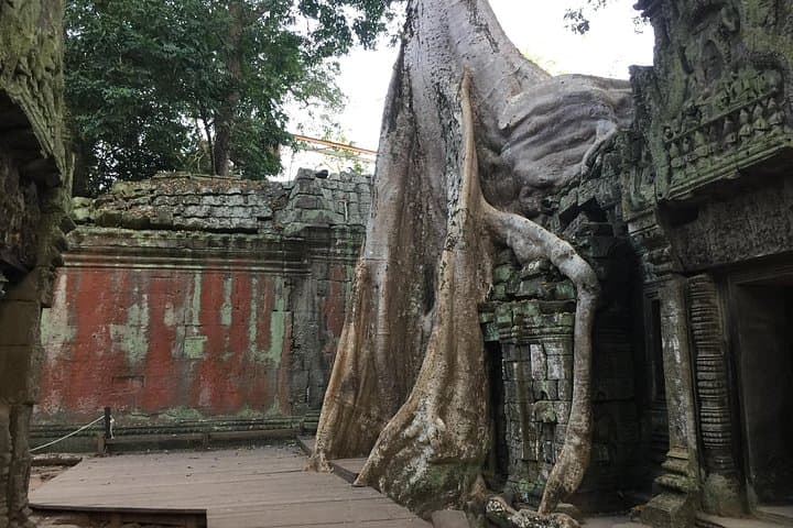 Private 3-Day Angkor Sunrise and Sunset Temple Tour (Siem Reap) photo 3