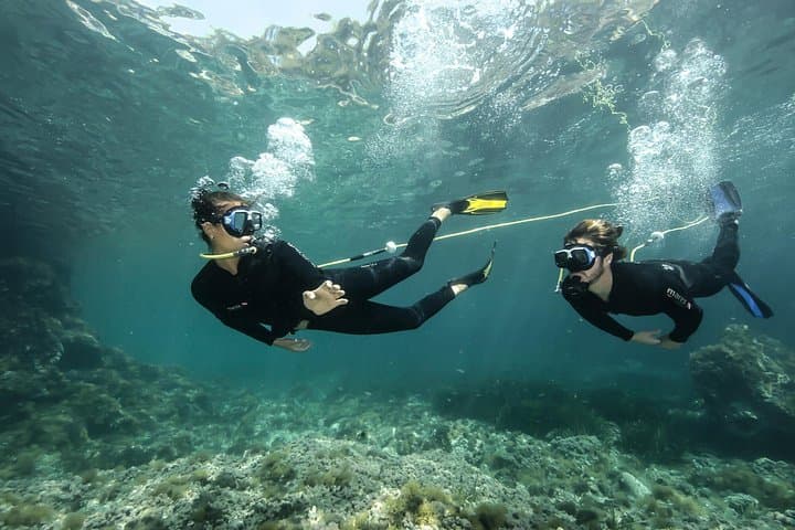 Discover Scuba Diving in Calabria: Beginner Dives at Marina di Gioiosa Ionica photo 2