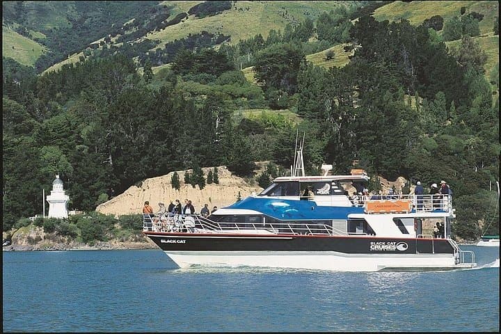 Akaroa Day Tour: Full-Day Sightseeing & Dolphin Cruise from Christchurch photo 2