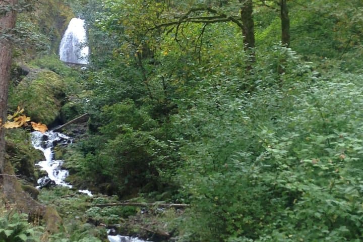 Full-Day Portland & Columbia River Gorge Tour — Multnomah Falls, Vista House and City Highlights photo 6