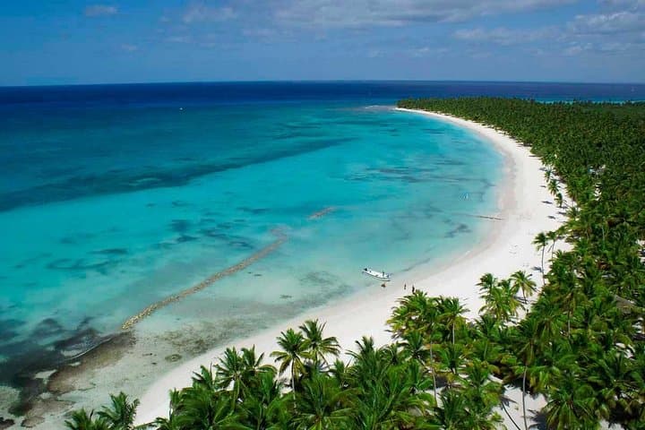 Saona VIP Speedboat to Playa Toro & Mano Juan — Full-Day Snorkel and Turtle Sanctuary photo 2