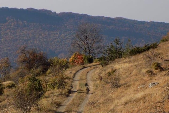 Walk the Jurassic Sea: Komstitsa Belemnite Hike from Sofia photo 2