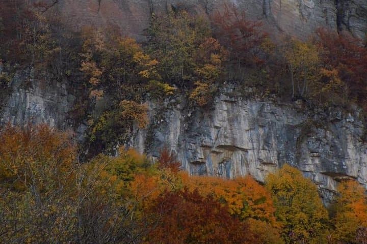 Walk the Jurassic Sea: Komstitsa Belemnite Hike from Sofia photo 5
