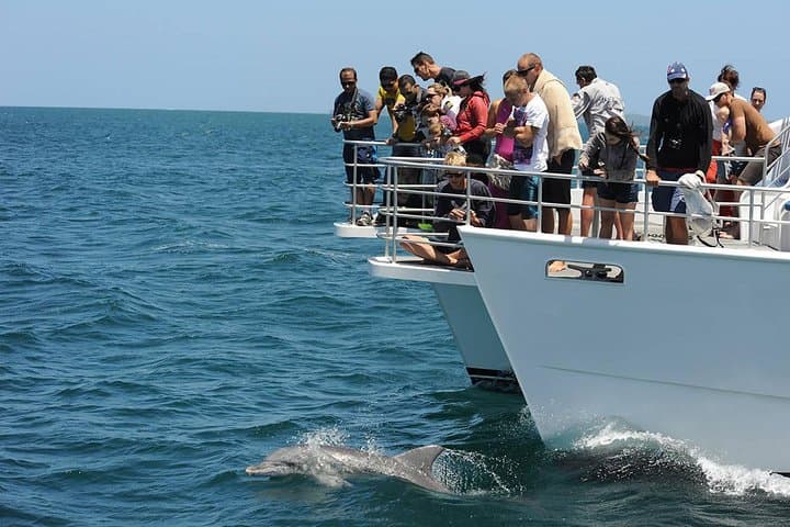 Port Stephens Dolphin Watching & Sandboarding — Private Day Trip from Sydney photo 2