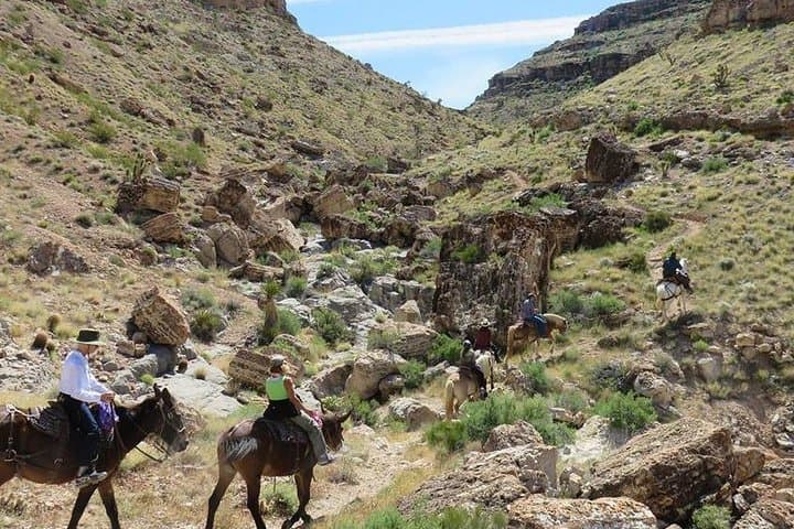 Red Rock Canyon Horseback Riding: 2-Hour Guided Trail Ride from Las Vegas photo 2