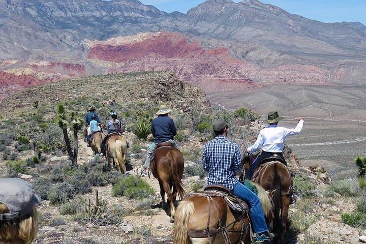 Red Rock Canyon Horseback Riding: 2-Hour Guided Trail Ride from Las Vegas photo 3