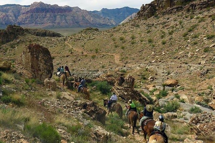 Red Rock Canyon Horseback Riding: 2-Hour Guided Trail Ride from Las Vegas photo 4