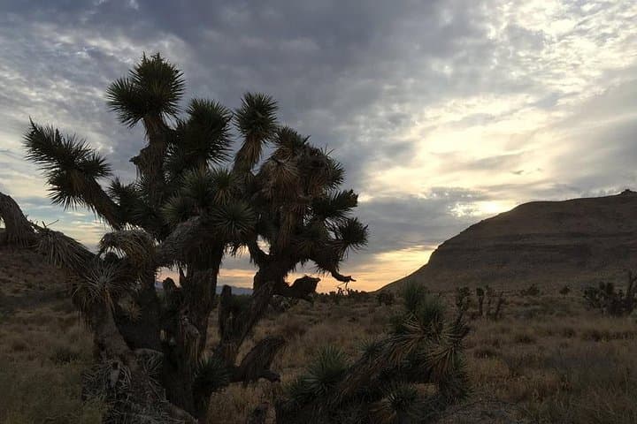 Red Rock Canyon Sunset Horseback Ride and Barbeque Dinner — Las Vegas Evening Adventure photo 3