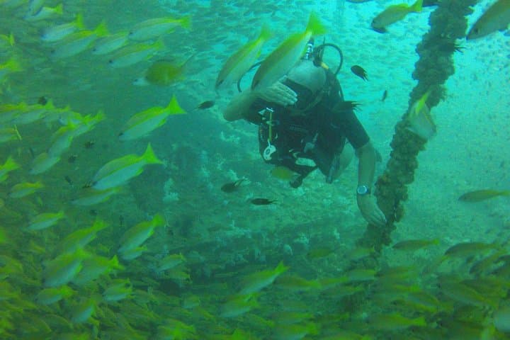 Phuket King Cruiser Wreck: 3-Dive Day Trip to Shark Point & Koh Doc Mai