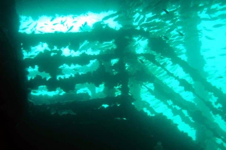 Phuket King Cruiser Wreck: 3-Dive Day Trip to Shark Point & Koh Doc Mai photo 5