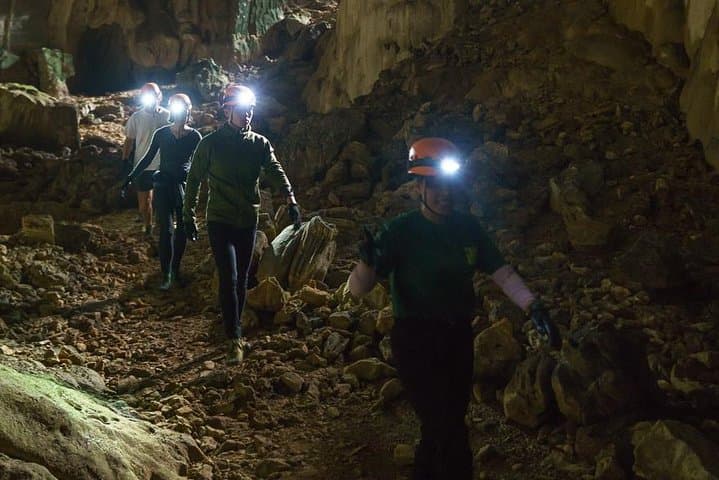 Elephant Cave and Ma Da Valley One-Day Jungle Trek in Phong Nha-Ke Bang photo 3