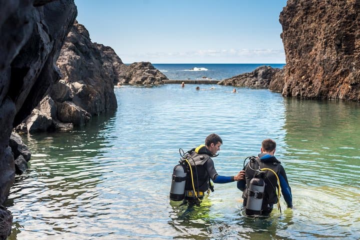 Madeira Aquarium Dive: Swim with Sharks, Rays & Morays in Funchal photo 2