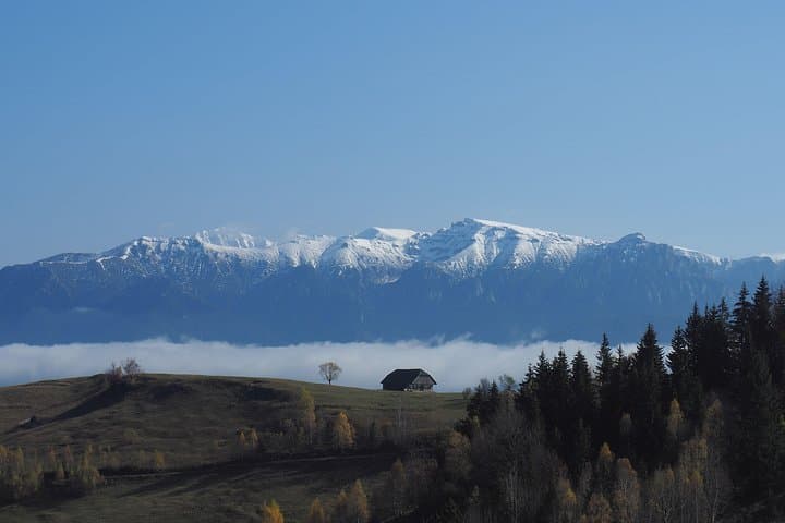 4-Day Carpathian Trek: Bucegi & Piatra Craiului Multi-Day Hike from Brasov photo 3