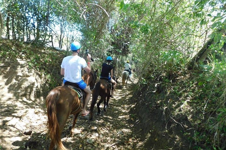 Ride N Zip Adventure: Zipline & Horseback Tour in Puerto Plata photo 5