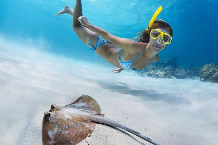 Snorkel with Turtles at Buck Island & Honeymoon Beach — St. Thomas Semi-Private Tour photo 4