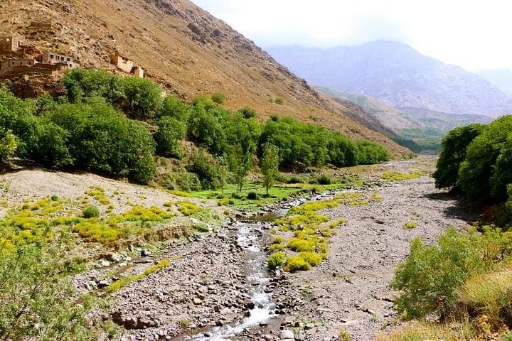 Marrakech to Imlil: Private Day Trip to Toubkal National Park photo 4