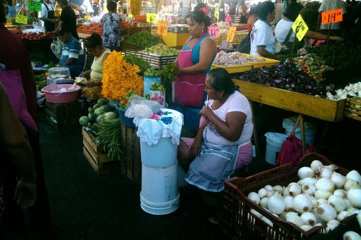 Acapulco Culture & Market Tour with Turtle Release and Cliff Views photo 3