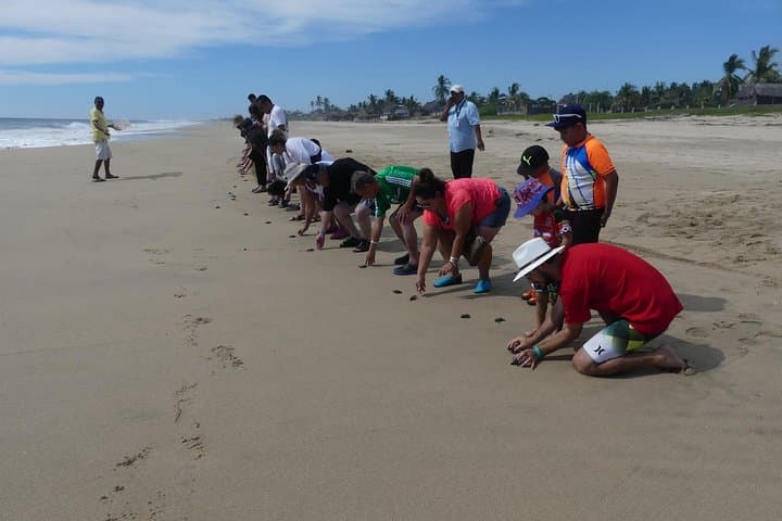 Acapulco Culture & Market Tour with Turtle Release and Cliff Views photo 6