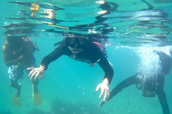 Punta Cana Buggy & Catamaran Combo: Off-Road to Snorkel and Natural Pool photo 3