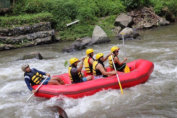 Thrilling Half-Day Whitewater Rafting Adventure from Ubud