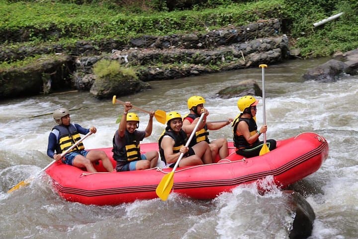Thrilling Half-Day Whitewater Rafting Adventure from Ubud photo 3