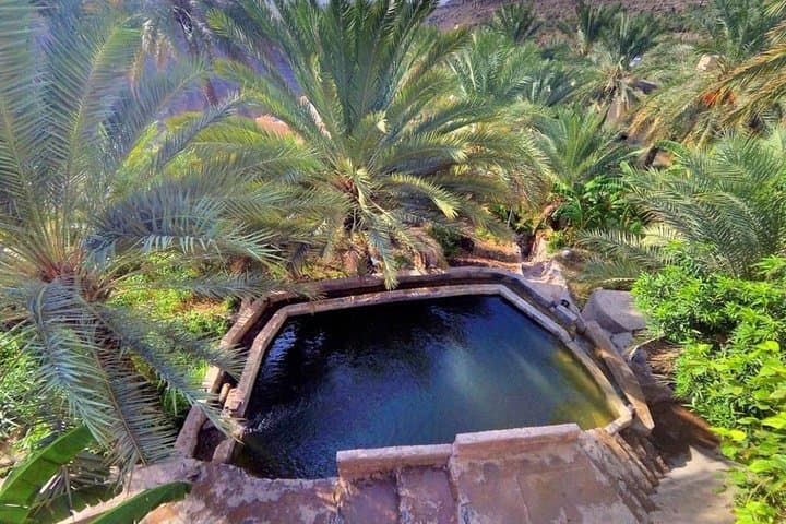 Muscat to Nizwa: Full-Day Private Cultural and Wadi Tour photo 3