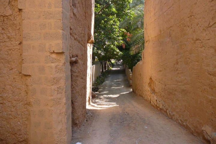 Muscat to Nizwa: Full-Day Private Cultural and Wadi Tour photo 6