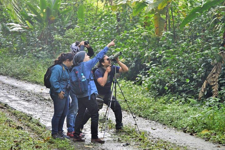 Buenaventura Biological Reserve Lodge & Umbrellabird Trail — Day Tour in El Oro, Ecuador