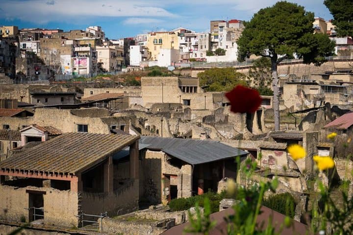 Private Herculaneum Family Tour from Naples — Skip-the-Line Guided Experience photo 6