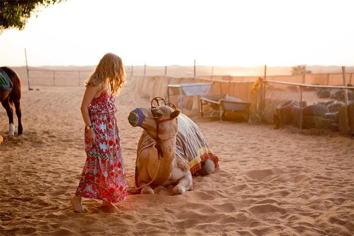 Dubai Desert Safari 4x4: Dune Bashing, Dinner & Live Shows photo 2