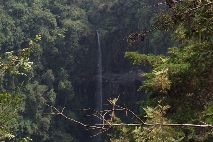Mambori Waterfalls Day Hike: Kilimanjaro Foothills Forest Walk from Moshi photo 4