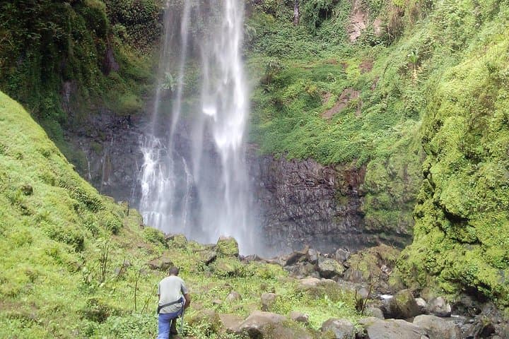 Mambori Waterfalls Day Hike: Kilimanjaro Foothills Forest Walk from Moshi photo 3