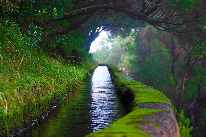Rabaçal to 25 Fontes Levada Walk — Risco Waterfall & 25 Springs, Madeira photo 3