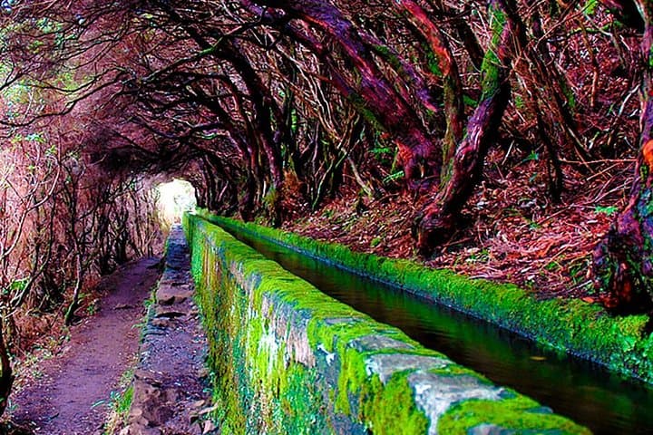 Rabaçal to 25 Fontes Levada Walk — Risco Waterfall & 25 Springs, Madeira photo 5
