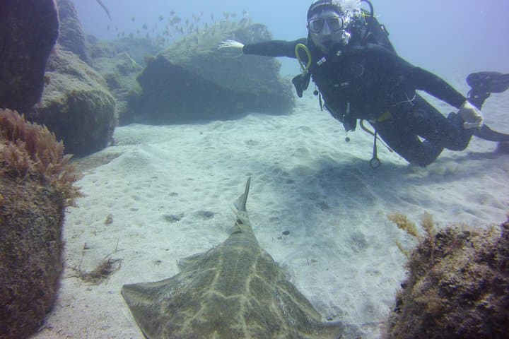 Intro Scuba Diving in Costa Adeje: 12m Beginner Session in Tenerife photo 5