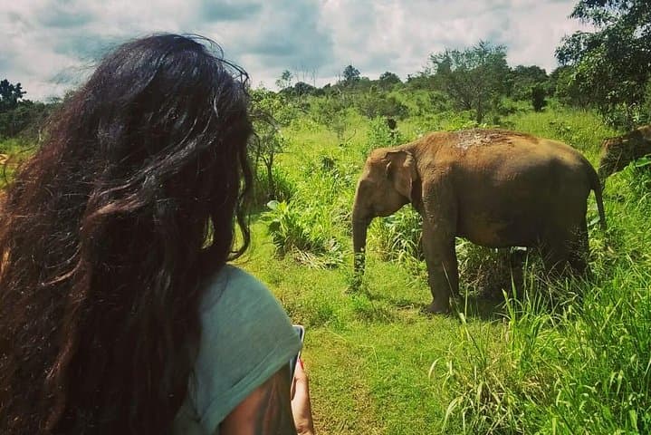 Minneriya Safari: Watching Sri Lanka's Elephant Gathering photo 6