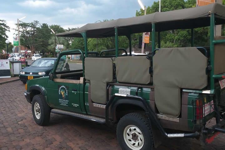 Full-Day Zambezi National Park Golden Safari from Victoria Falls