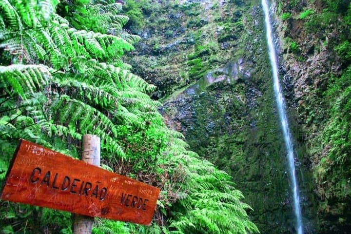 Caldeirão Verde Hike: Madeira’s Green Cauldron Walk from Queimadas photo 5