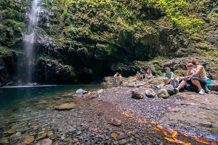 Caldeirão Verde Hike: Madeira’s Green Cauldron Walk from Queimadas photo 6