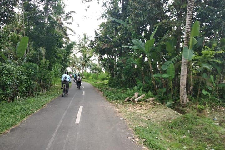 Explore Bali's Hidden Beauties: Cycling and ATV Adventure