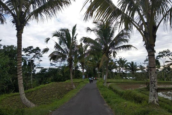 Explore Bali's Hidden Beauties: Cycling and ATV Adventure photo 2