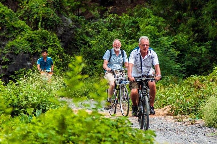 Full-Day Ninh Binh: Hoa Lu & Tam Coc Biking and Boat Tour from Hanoi photo 5