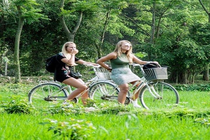 Full-Day Ninh Binh: Hoa Lu & Tam Coc Biking and Boat Tour from Hanoi photo 6