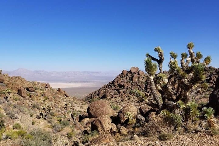 Half-Day Electric Bike Tour of Red Rock Canyon — Las Vegas Scenic Loop by E‑Bike photo 3
