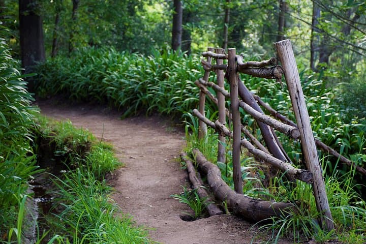 Serra do Faial Levada Walk: Paradise Valley to Rochão — Madeira Garden Walk photo 2