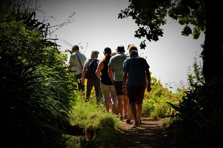 Serra do Faial Levada Walk: Paradise Valley to Rochão — Madeira Garden Walk