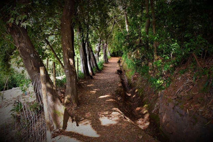 Serra do Faial Levada Walk: Paradise Valley to Rochão — Madeira Garden Walk photo 5