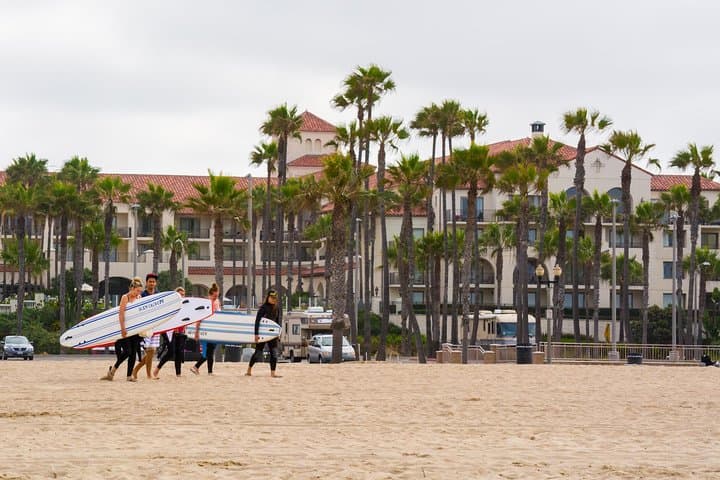 Whale-Watching and Orange County Beaches Day Trip from Anaheim photo 2