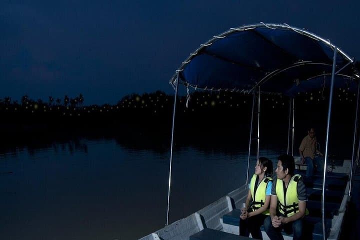 Kuala Selangor Firefly Boat Tour: Night Cruise and Seafood Buffet from Kuala Lumpur photo 1